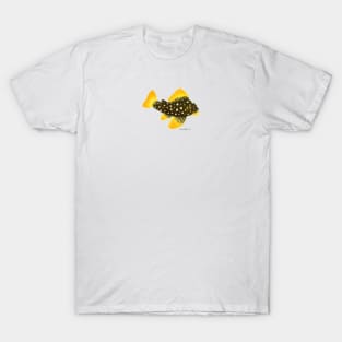 Golden Nugget Pleco Fish T-Shirt